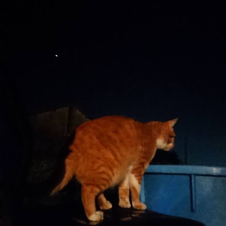 A01860dc cc18 4363 9410 412fbebb71ab 1602586225471