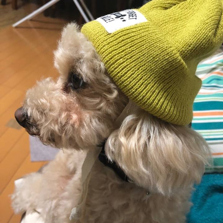 A018699f e2cc 4e58 9adb b9f80b718719 1507962286900