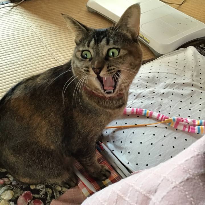 A018808e 8e87 4c6a ae00 ce07107c5f7f 1636851516555