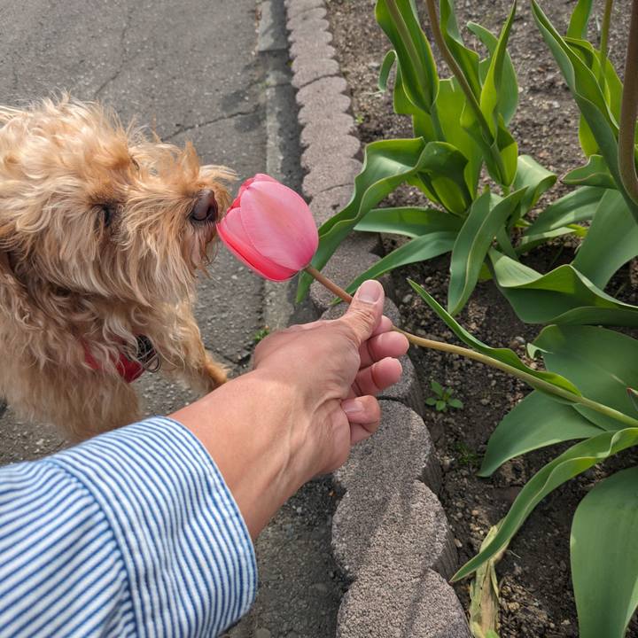 A0189252 2e5e 4a58 a4ff 56bb5a74991f 1714873004965