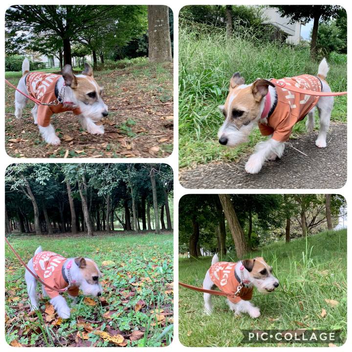 A018bd06 82a5 42e7 a1cb 53ca6d387677 1601973361611