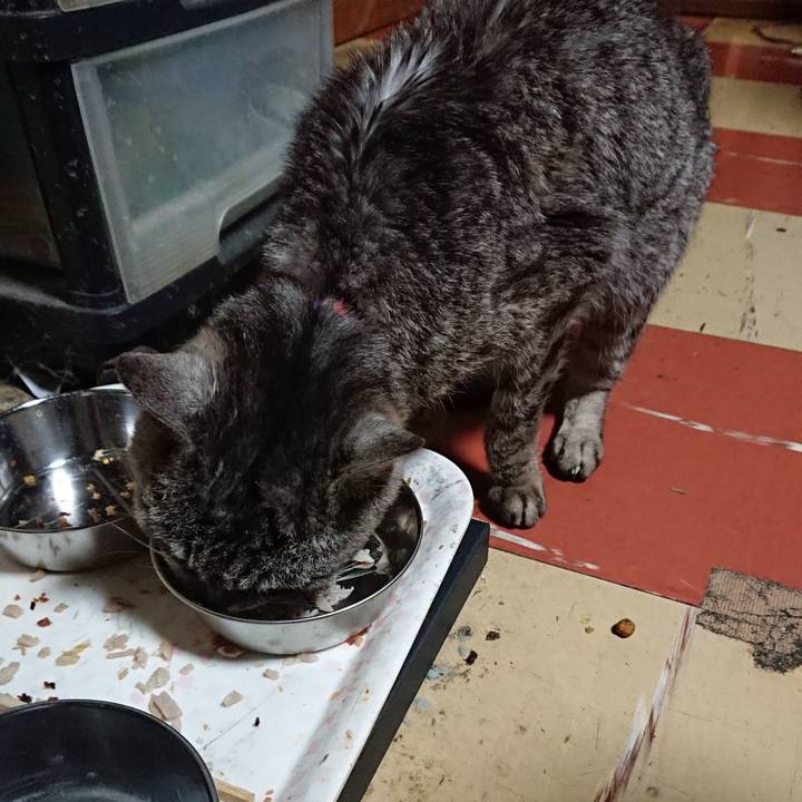 A018c3c0 edbd 43b5 9b2b 9d91814213c8 1594717921769