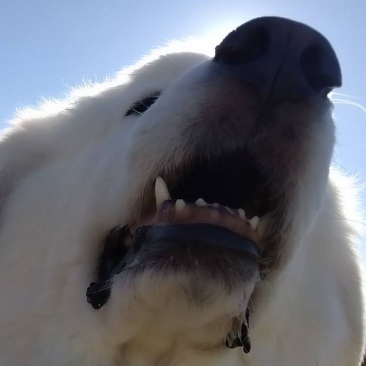 A018d1d6 f3c3 4a1b a8ca cf4e21d49c14 1671144844104