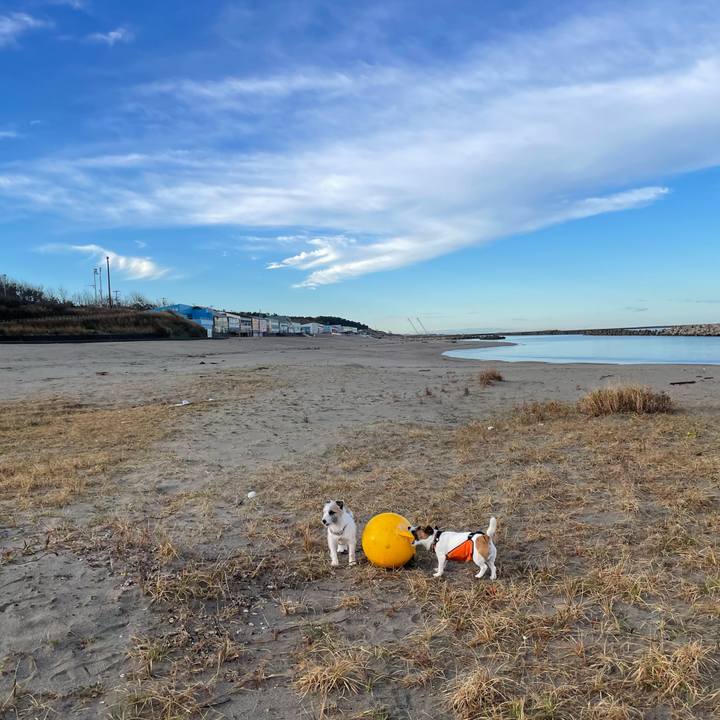 A01937d2 8c04 41be 9456 4a8cfee7308a 1668987677577