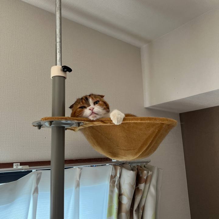 A0194c93 9f9f 481d bc75 dffbc2923d3a 1760233653498