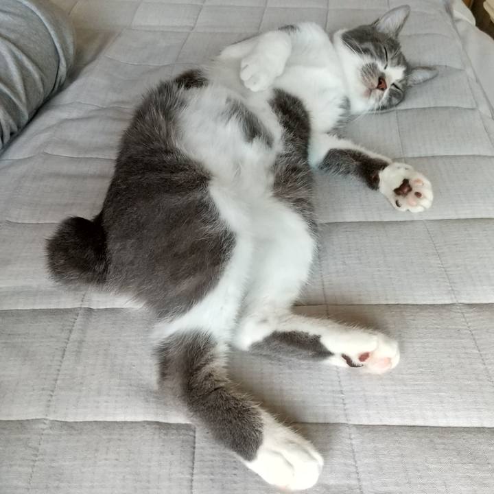 A01982b5 c351 4b6d 96dd 582cf532cdd6 1598311772757