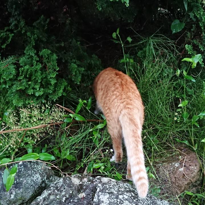 A019963f ed2c 405b ae29 978119828fdf 1567415138567