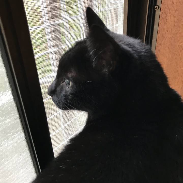 A019a883 679e 4784 95e7 da8da84c108c 1513128562882