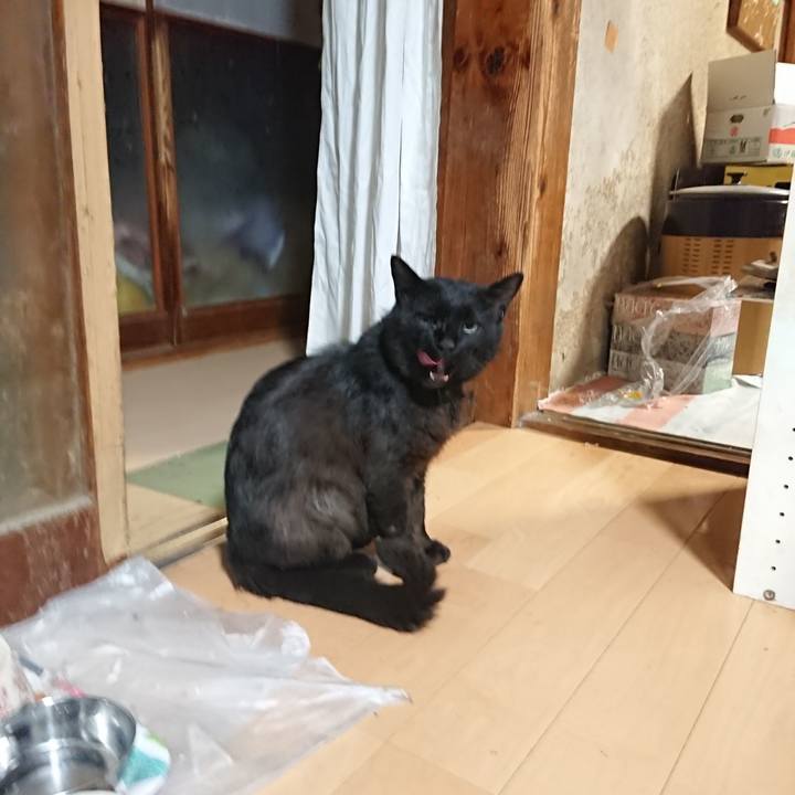 A019a964 613b 439f a26a 9605a138a019 1624793553262