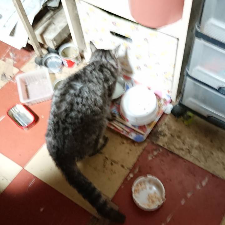 A019b42e bfd2 4ddd 98a2 e5ed0e7fd44a 1585166618580