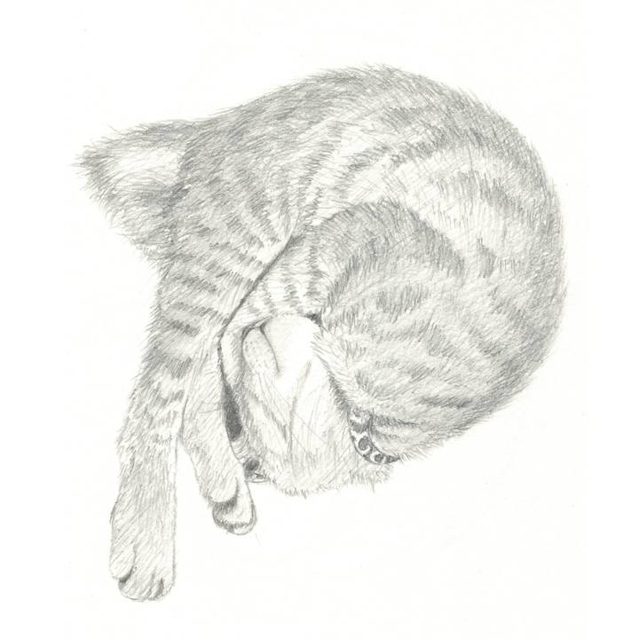 A019be79 47e0 4ee1 9cf8 8003a038554c 1539260349590