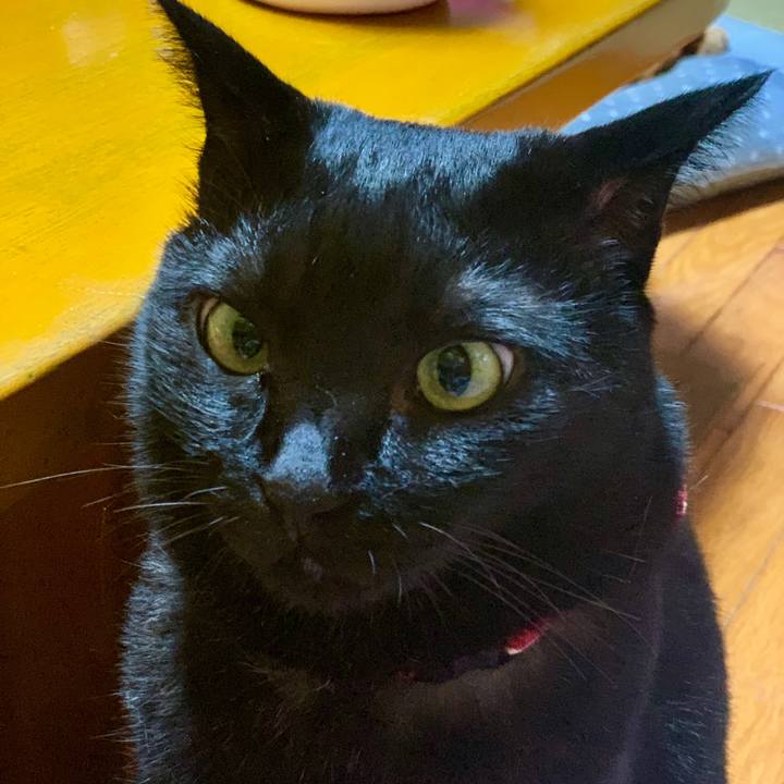 A019ea73 9007 44e1 b72d 0265cdbe7b8b 1561812922565