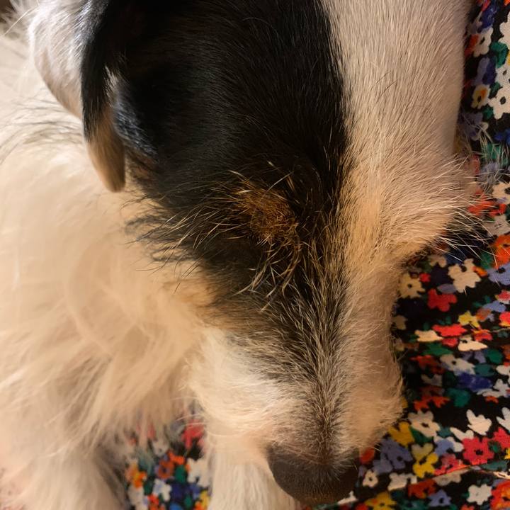 A01a0af4 33ea 4787 8a34 ed9fcf6edb62 1598533298425