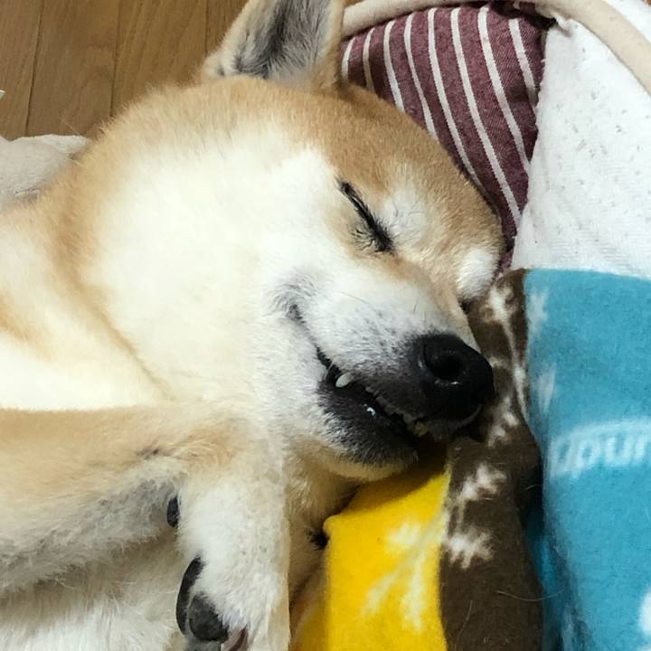 A01a0ebc cd7b 48f2 8a17 ec3d6e4c5c5e 1588372741036