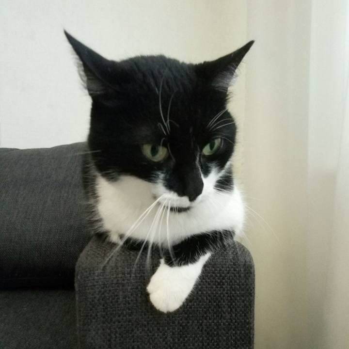 A01a219b 3a90 4ae5 8f9f 1fd3ce485224 1577523919876