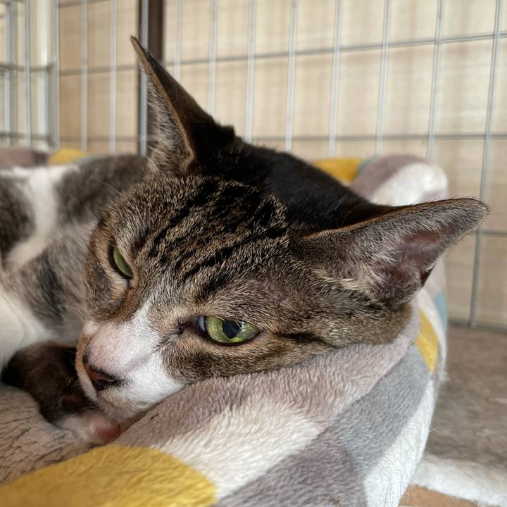 A01a2da0 5c47 4713 909c 977e42d988a7 1630026239367