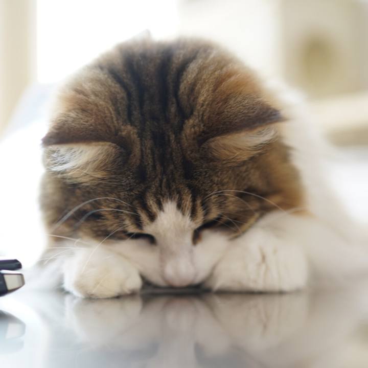 A01a30a0 0fff 432e ae7c 0bdd7642ffee 1624084879845