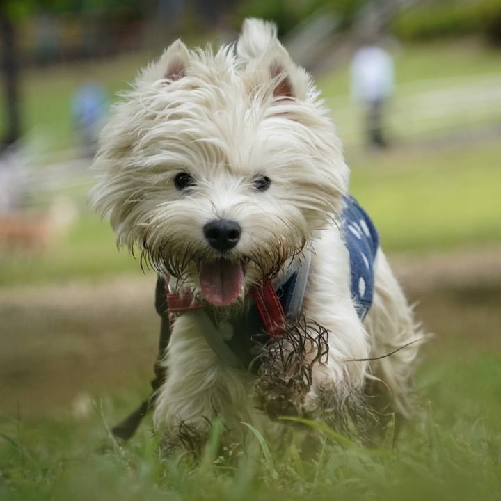 A01a7e35 af20 4754 8dcd 49949148019f 1527079571573