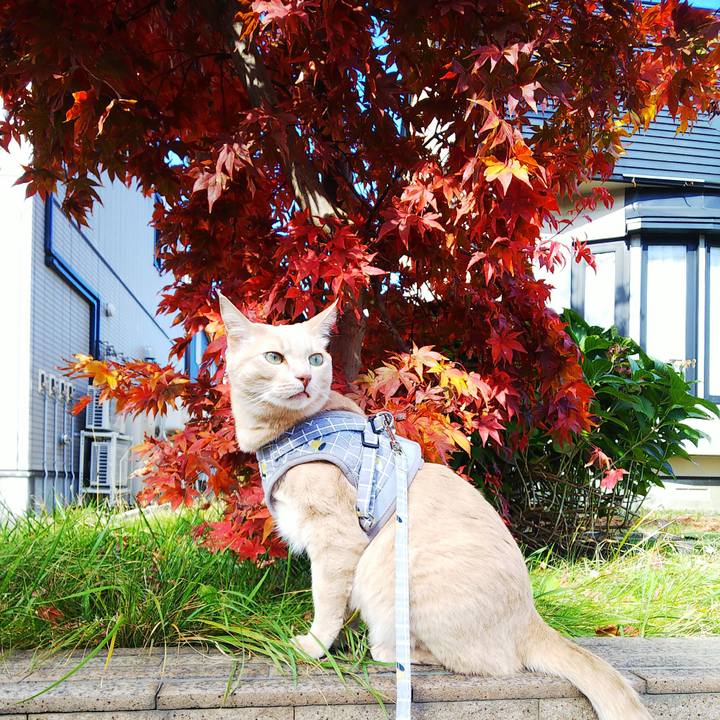 A01ab7aa f055 4708 bfd8 3fc4841a656c 1667098505273