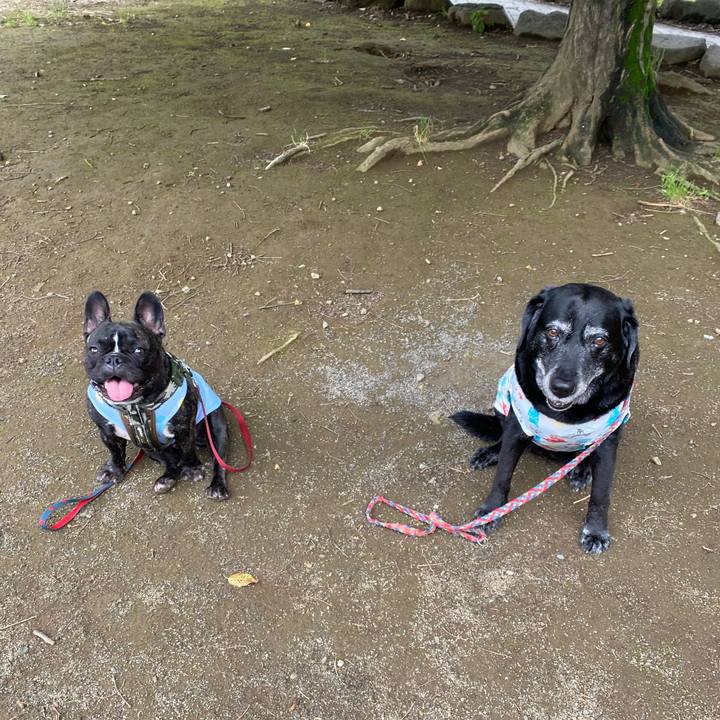 A01ace69 93a3 4637 b6ce 355d8be9d6d0 1655948109855