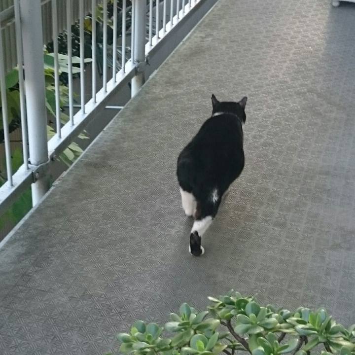 A01afd47 9bc6 430d bfeb ae4946d79cb1 1511913825222