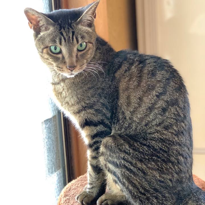 A01b00e9 70db 4c78 a12d 7f7c6ddcfcc0 1555721459839