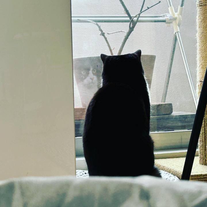 A01b0ea9 7dec 47b1 a6c5 b246c0f3040e 1672300835949