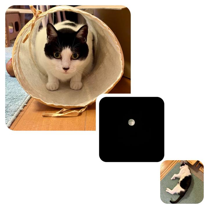 A01b14cf f461 42b1 a1b5 565210274bb3 1759768611910