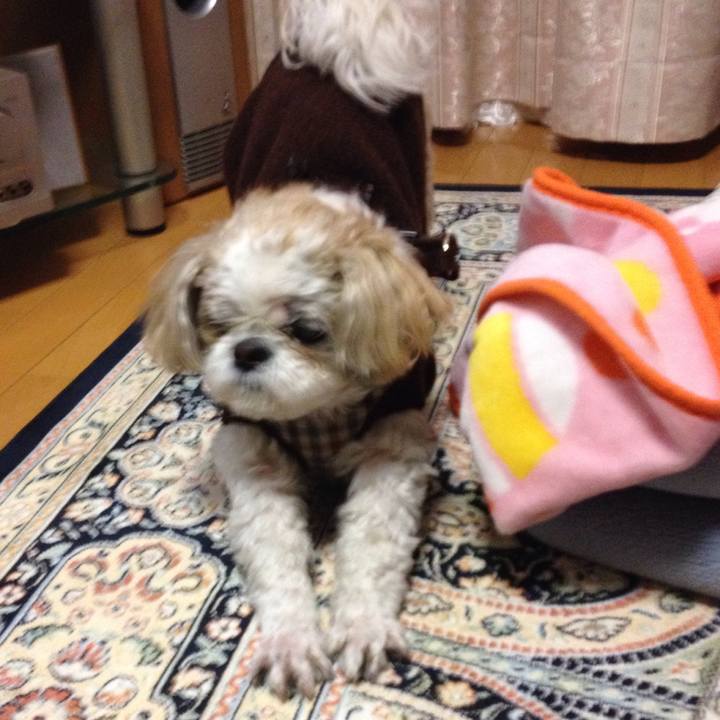 A01b3031 18ac 43b7 825b fa42309a2408 1516226957058