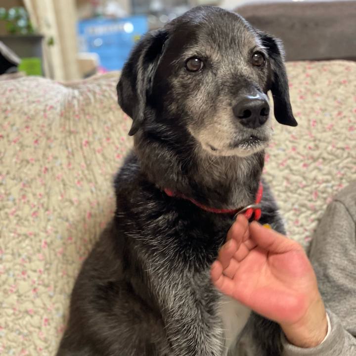 A01b495f cd26 40c6 9dd8 aa724dc57e77 1764418105882