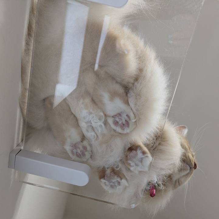 A01b50f2 5918 4855 a7b2 54da566500ed 1750412306645