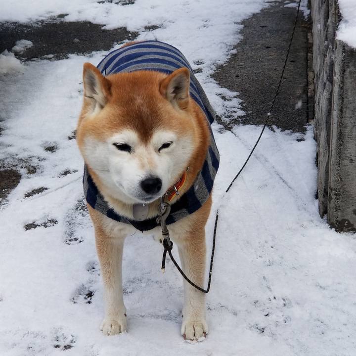 A01b5287 5239 4e03 946f e224074583f8 1672966840677