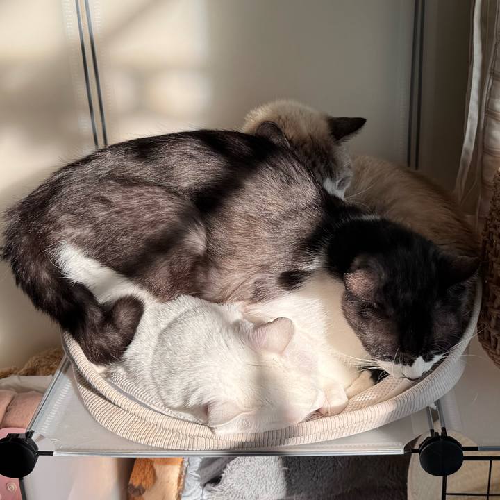 A01b6ea0 6d19 4ab1 b682 f29337b8ad7f 1768022030919