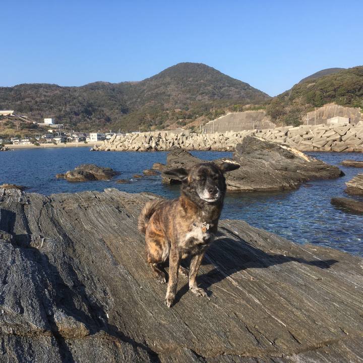 A01b836d b020 4f8e bb19 0f60df2d7f50 1548890372996