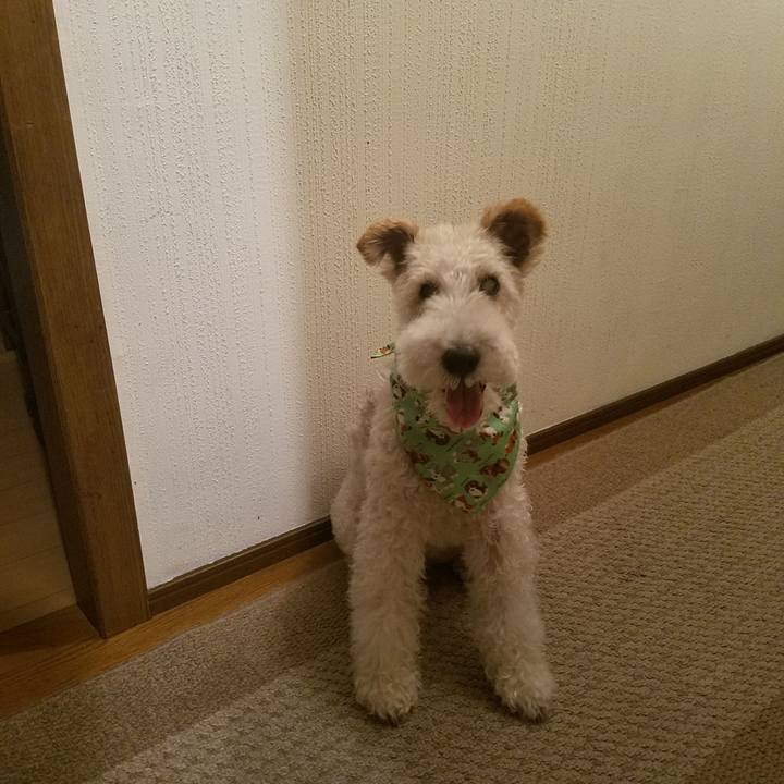 A01bcbf2 b74b 464c b2d1 f09960d38fd2 1594300493389