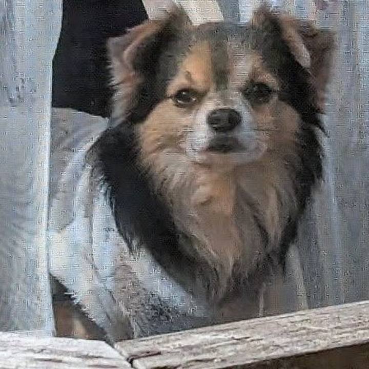 A01bd117 3848 4e78 95fd 5c7897b895e4 1674174285498