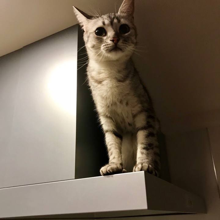 A01bd60c 7033 436b 98a6 b305b9ea6f0f 1530871037915