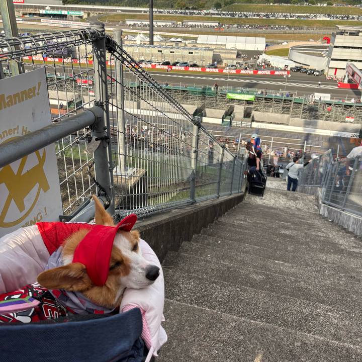 A01be7e1 0a55 4d96 bc40 13c5dfde2a14 1758956826471