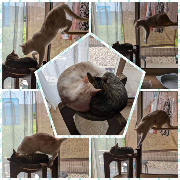 A01be95a abc3 460e 89a8 012f0aa8b0f2 1690424286339