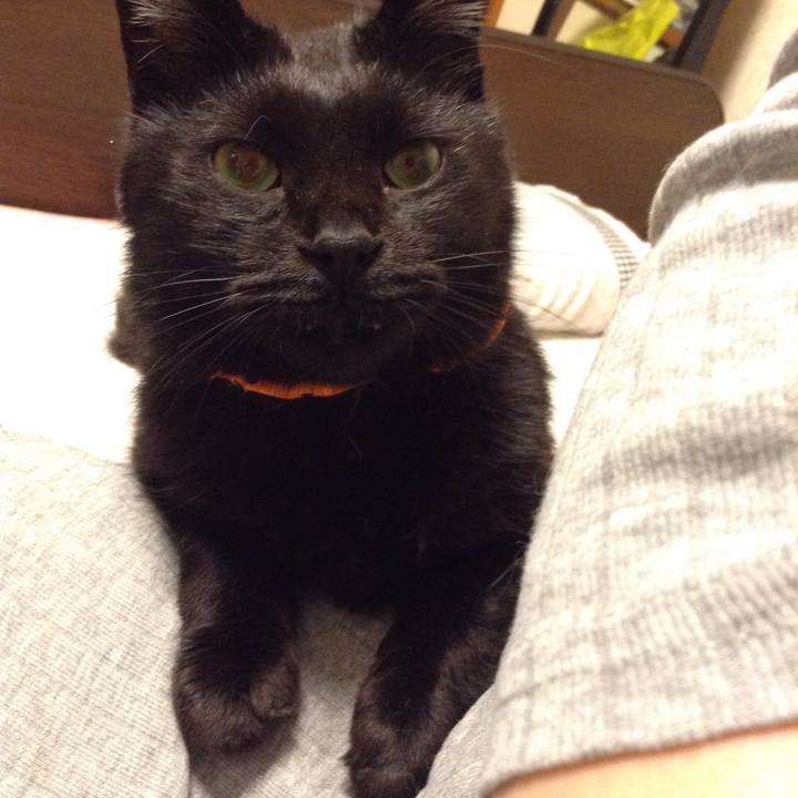 A01c4eb9 0407 4f0f 82da 0ef53201eb30 1570538511126