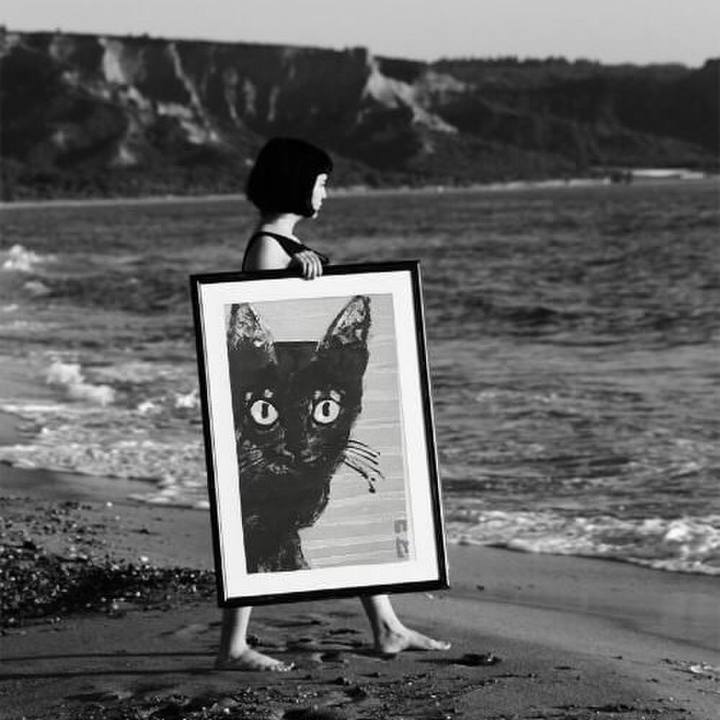 A01c8953 e995 4478 b386 ba0159f17295 1541843990337