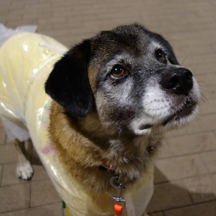 A01c9f62 26fd 4cfd 87af bf45b9dea018 1615594511415