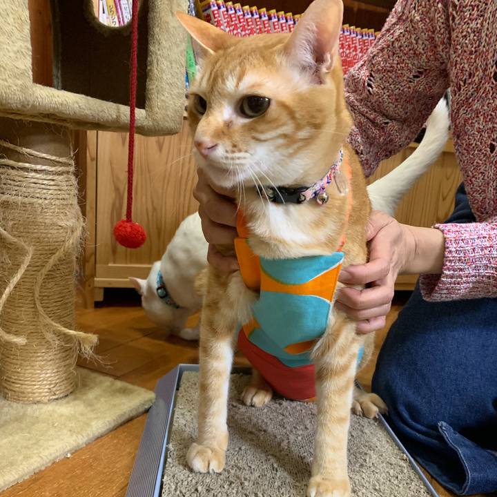 A01cb87a 88bc 4173 a8a8 9ff1148962ef 1555989847688