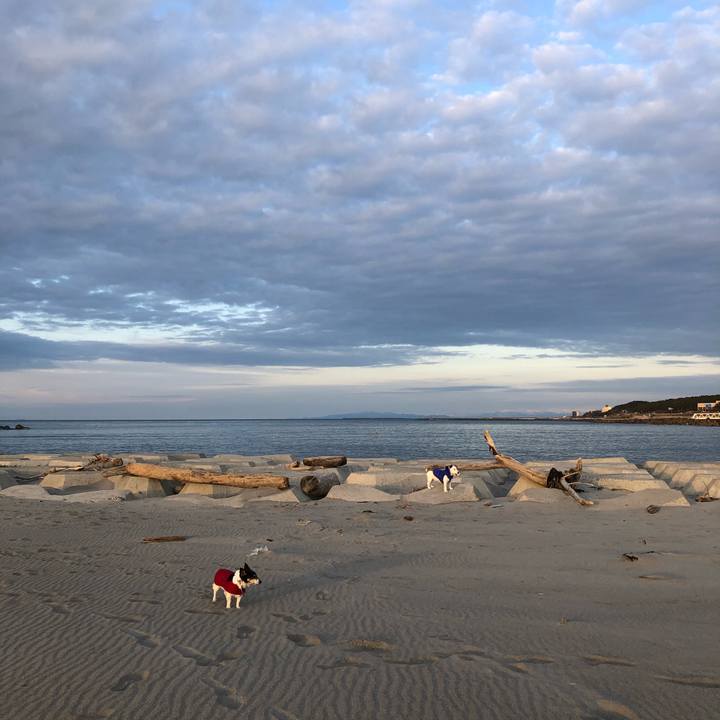 A01cde23 ed17 4585 8e9e c13391fb0dde 1582972891477