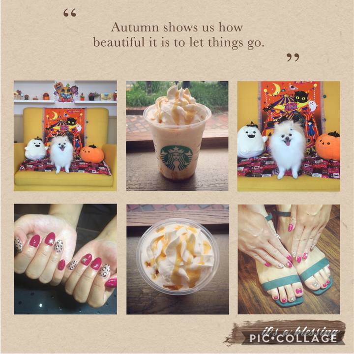 A01d301c 755b 47c1 b90b 4ea1a2249029 1569301188641