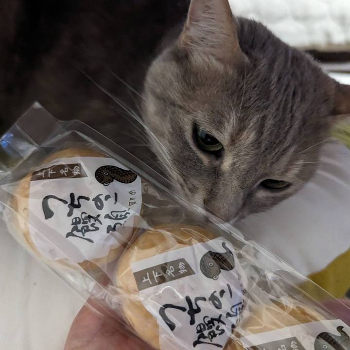 A01d593d febe 4e04 9d94 1e94d6b2648d 1715216093523