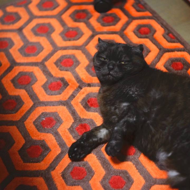 A01d6a9d 1092 4abd a5b5 5fdf1655d6d5 1615825080293