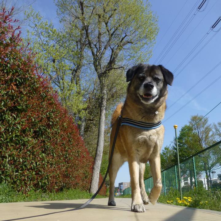 A01d6e60 fee4 4317 b2a4 80fb9ad79998 1579653351739