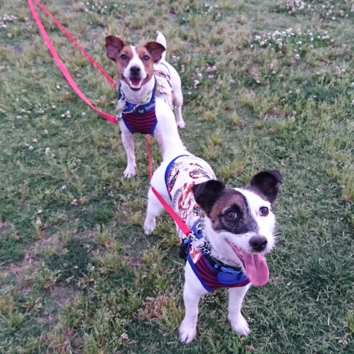 A01d80f7 0c5d 4dff 97b2 8394980eeacd 1559738893884