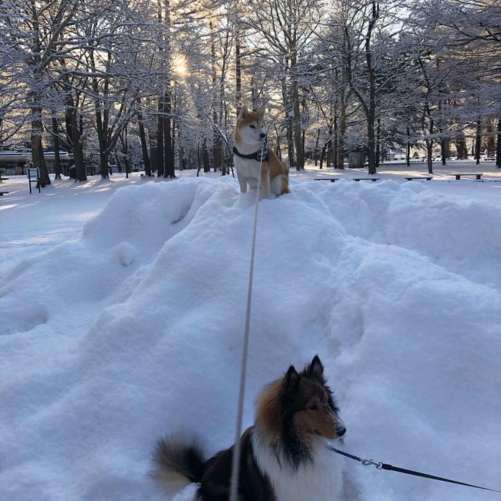 A01dad81 56c4 4186 b7e1 3957972062f1 1579137157948